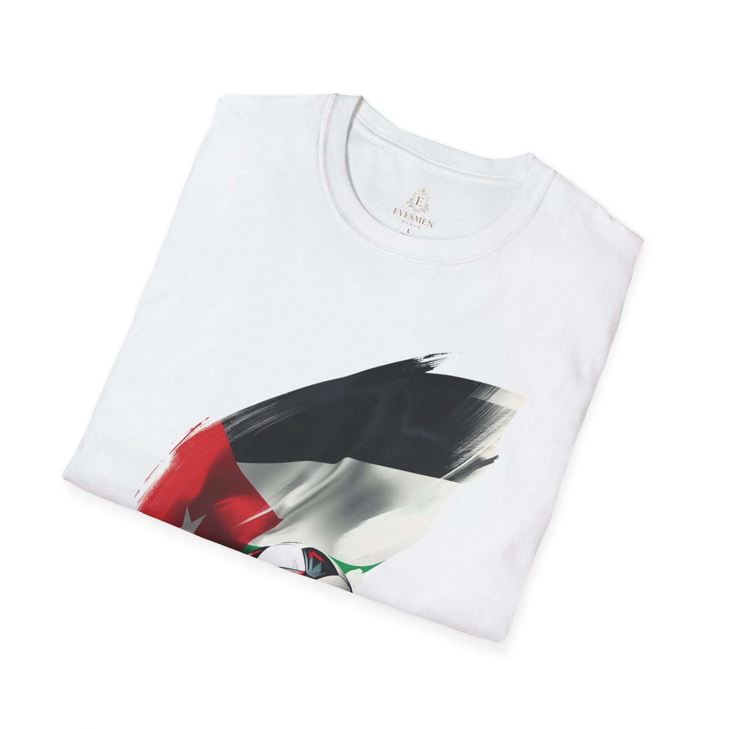 Jordan Football Flag Brushstroke T-Shirt Abstract Chivalrous Falcons Tee