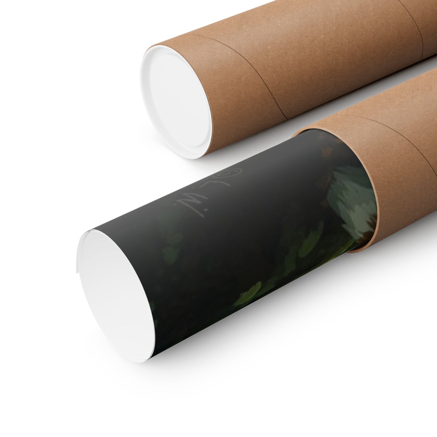 Fox in Enchanted Forest Wall Art Poster | Matte Horizontal Wildlife Print